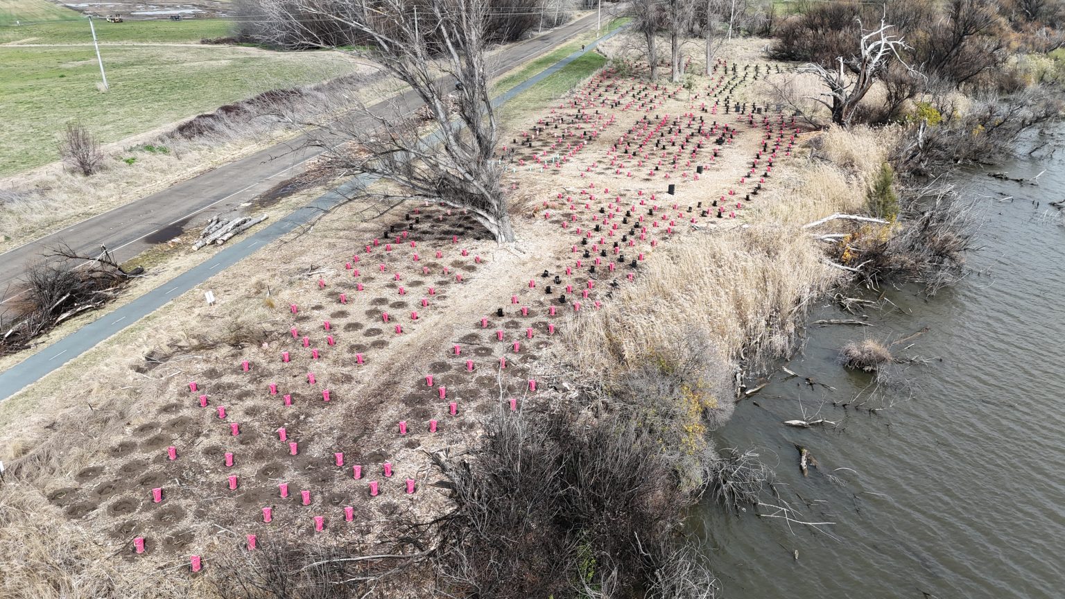 Urban Rivers Project Updates – Landcare ACT